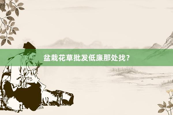 盆栽花草批发低廉那处找？