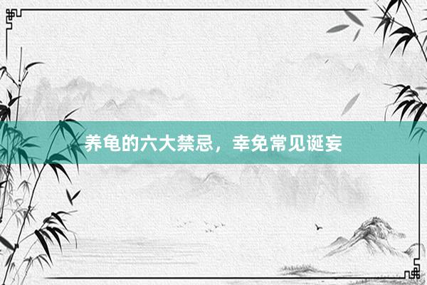养龟的六大禁忌，幸免常见诞妄