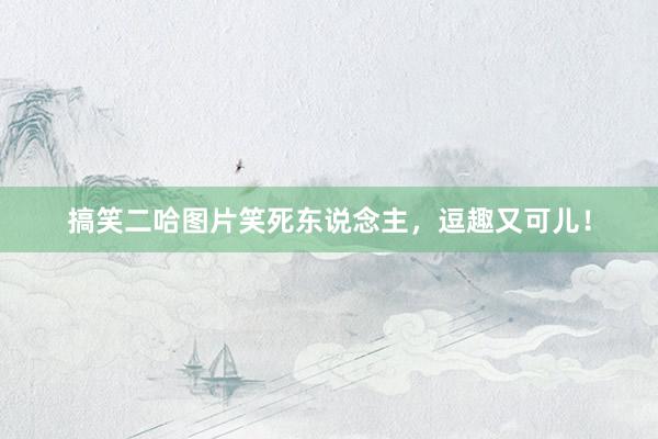 搞笑二哈图片笑死东说念主，逗趣又可儿！