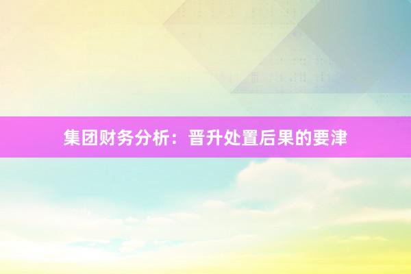 集团财务分析：晋升处置后果的要津